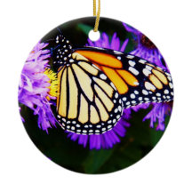 Papillon de monarque, ornement d'aster