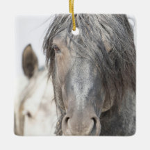 Zeus bleu et Iris Wild Hoofbeats Ornement