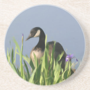 En Grès Canada Goose Irises Peinture Dessous de verre anim