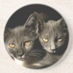 En Grès Chats gris Dessous de verre photo