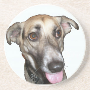En Grès Chien 2 Dessous de verre