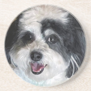 En Grès Cute K-Cee Zuchon Chien Dessous de verre