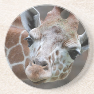 En Grès Dessous de verre adorables de girafe