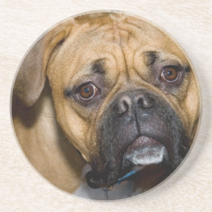 En Grès Dessous de verre américains de chien de boxeur
