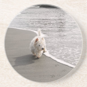 En Grès Dessous de verre Beachcombing Westie Chien Photo S
