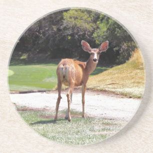 En Grès dessous de verre cerf vous regardant