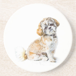 En Grès Dessous de verre Chien Chih Tzu