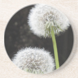 En Grès Dessous de verre - Dandelions