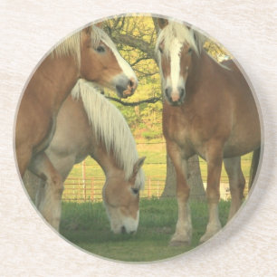 En Grès Dessous de verre de chevaux de trait de palomino