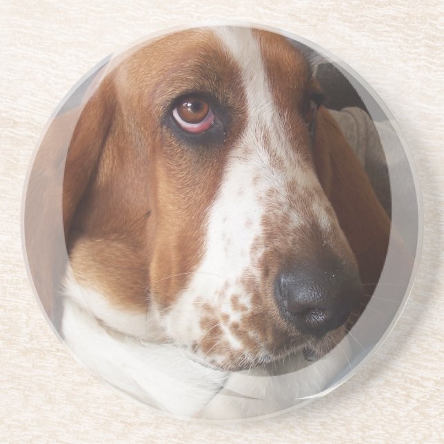 En Grès Dessous de verre de chien de Basset Hound (Devant)