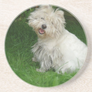 En Grès Dessous de verre de chien de Bichon Frise