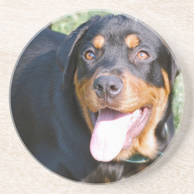En Grès Dessous de verre de chien de rottweiler (Devant)
