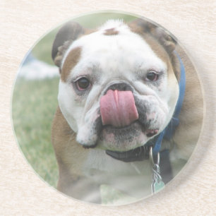En Grès Dessous de verre de chien de Taureau