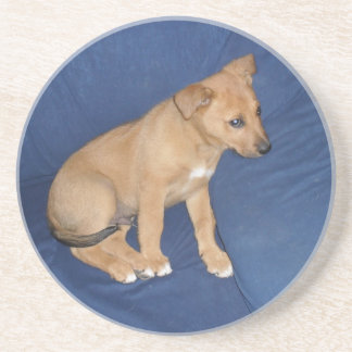 En Grès Dessous de verre de chiot