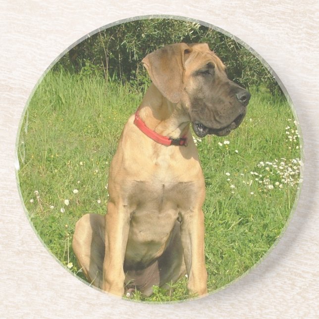 En Grès Dessous de verre de chiot de mastiff (Devant)