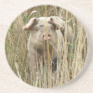 En Grès Dessous de verre de cochon mignons