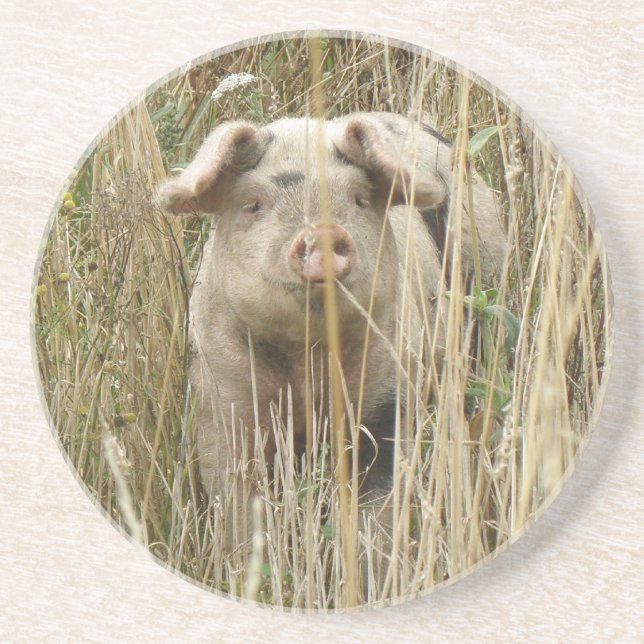 En Grès Dessous de verre de cochon mignons (Devant)