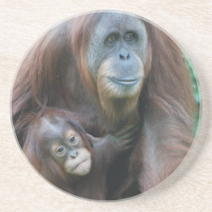 En Grès Dessous de verre de famille d'orang-outan