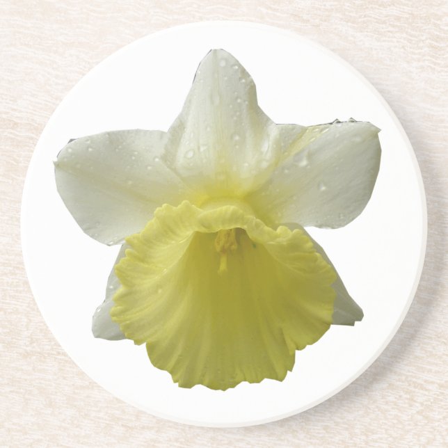 En Grès Dessous de verre de fleurs de jonquille (Devant)