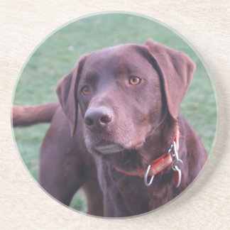 En Grès Dessous de verre de Labrador de chocolat
