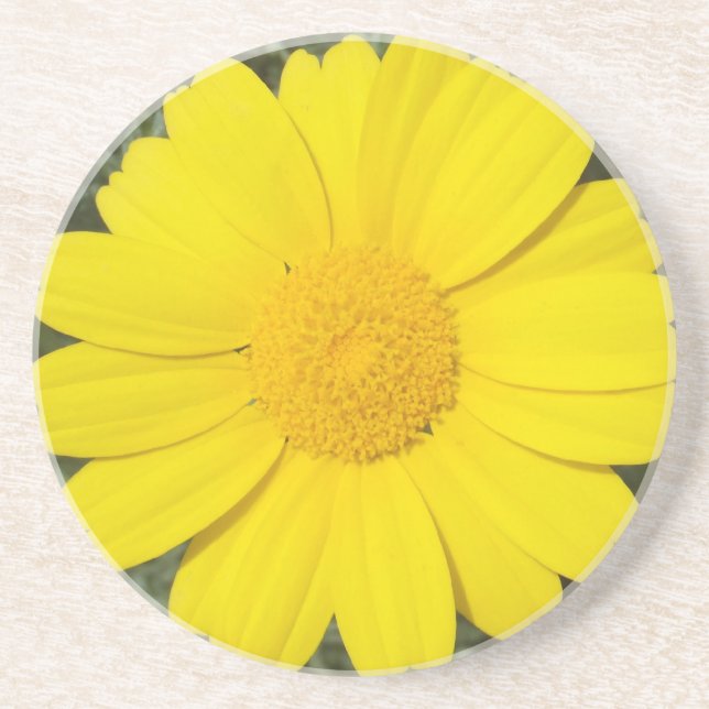 En Grès Dessous de verre de marguerite jaune (Devant)