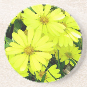 En Grès Dessous de verre de marguerites