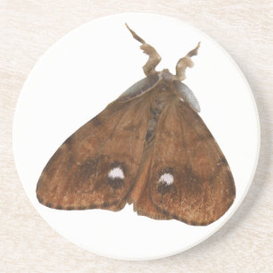 En Grès Dessous de verre de papillon