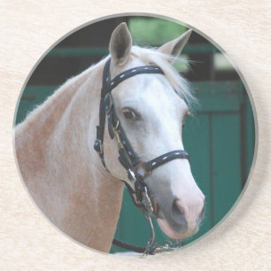 En Grès Dessous de verre de Paso Fino de palomino