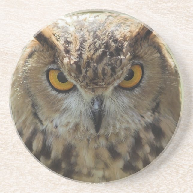 En Grès Dessous de verre de photo de hibou (Devant)