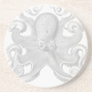 En Grès Dessous de verre de poulpe de Haeckel