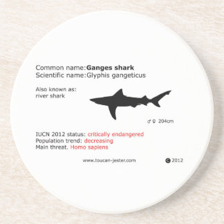 En Grès Dessous de verre de requin du Gange