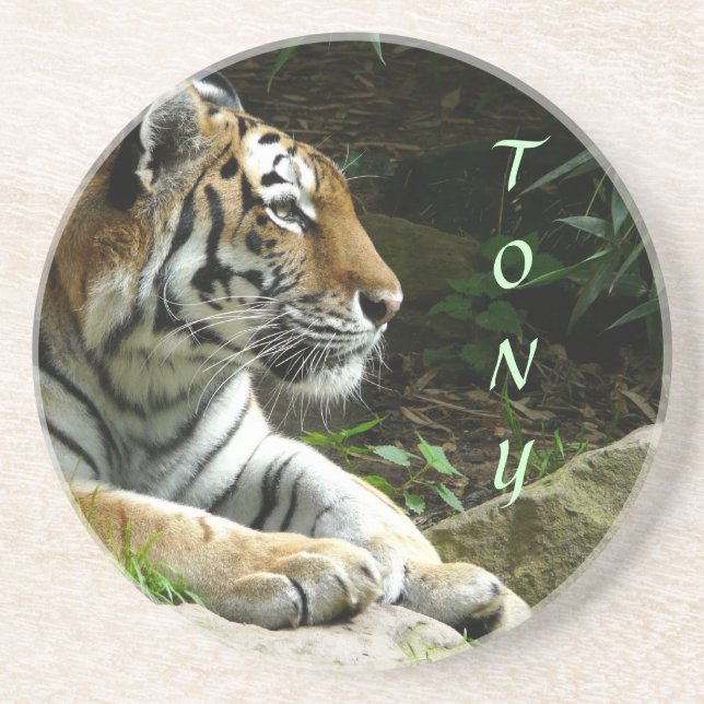 En Grès Dessous de verre de tigre (Devant)
