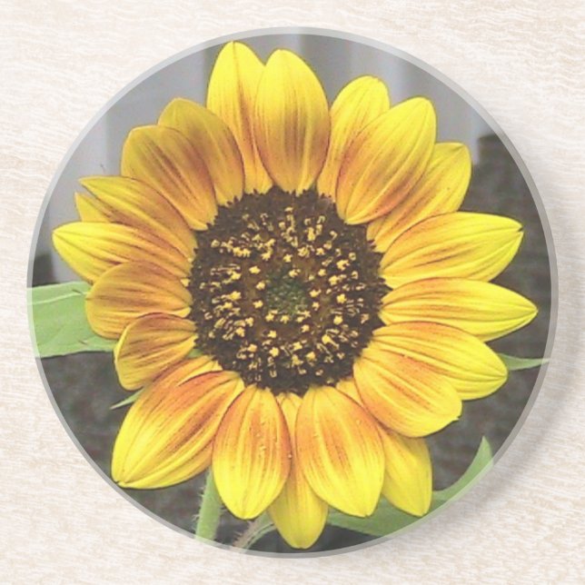 En Grès Dessous de verre de tournesol Sandstone (Devant)