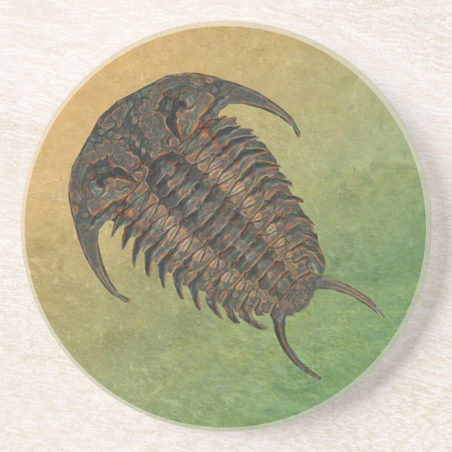 En Grès Dessous de verre de Trilobite Fossil Ceraurus (Devant)