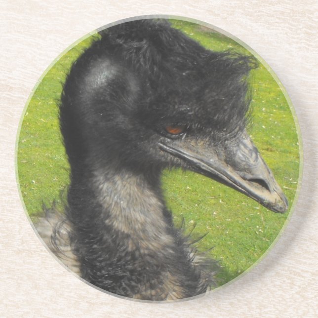 En Grès Dessous de verre d'émeu (Devant)
