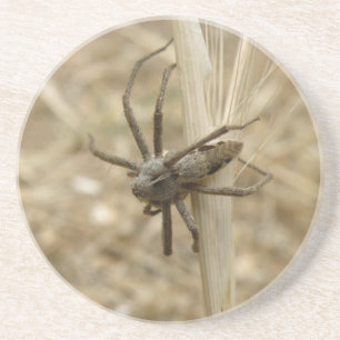 En Grès Dessous de verre déplaisants Crawly Spider