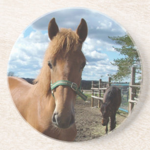 En Grès Dessous de verre des chevaux