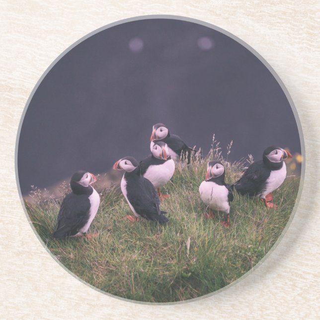 En Grès Dessous de verre des Puffins de l'Atlantique (Devant)