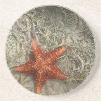 En Grès Dessous de verre d'étoiles de mer