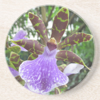 En Grès Dessous de verre d'orchidée de Zygopetalum
