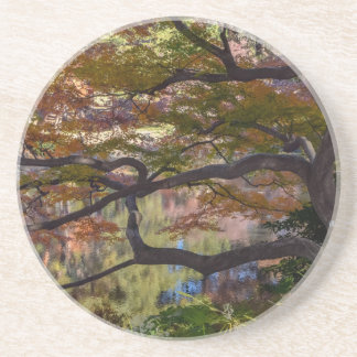 En Grès dessous de verre du parc japonais