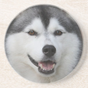 En Grès Dessous de verre enroués de chien