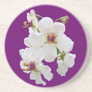 En Grès Dessous de verre Fleur sauvage Moth Mullein