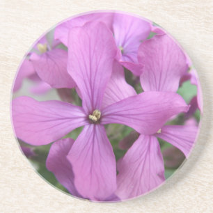 En Grès Dessous de verre Fleur sauvage violets