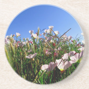 En Grès Dessous de verre - fleurs sauvages
