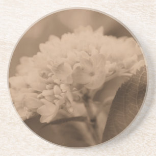 En Grès Dessous de verre floral doux Hydrangea Sepia