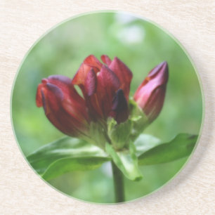En Grès Dessous de verre Floral Gentien Rouge