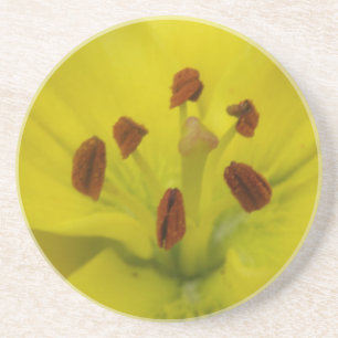 En Grès Dessous de verre floraux jaunes
