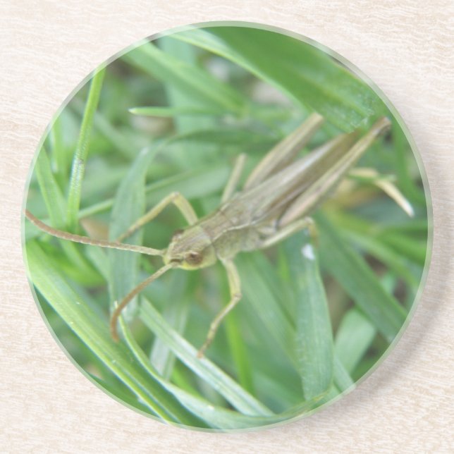 En Grès Dessous de verre Grasshopper (Devant)