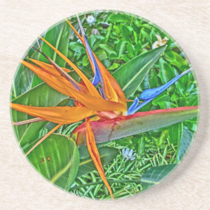 En Grès Dessous de verre Hawaii Bird Paradise